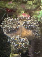 IMG_0013.jpeg