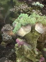 IMG_0012.jpeg