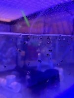 IMG_6357.jpeg