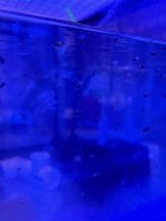 IMG_6352.jpeg