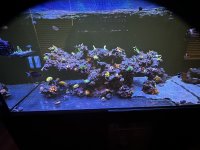 IMG_2331.jpeg