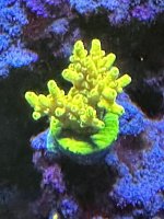 IMG_2324.jpeg