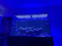 IMG_2334.jpeg
