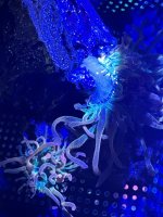 IMG_6676.jpeg
