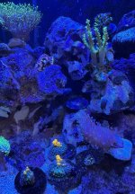 IMG_1656.jpeg