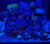 IMG_1654.jpeg