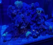 IMG_1653.jpeg