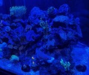 IMG_1652.jpeg