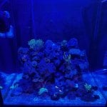 IMG_1651.jpeg