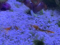 IMG_1187.jpeg