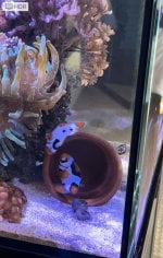 IMG_5389.jpeg
