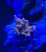 IMG_3487.jpeg