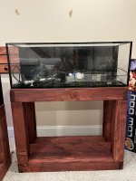 IMG_9298.jpeg