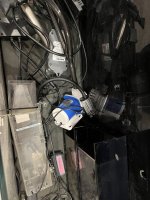IMG_9301.jpeg
