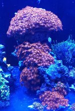 20231019_203725.jpg