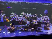 IMG_2414.jpeg
