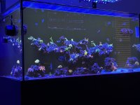 IMG_2446.jpeg