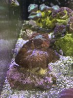 IMG_2904.jpeg
