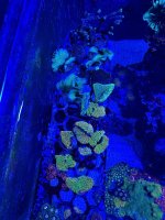 IMG_9061.jpeg