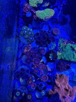 IMG_9062.jpeg
