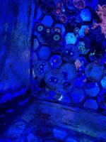 IMG_9063.jpeg