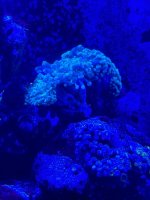 IMG_9056.jpeg