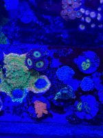 IMG_9058.jpeg