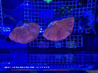 IMG_0147.jpg