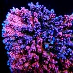 IMG_2487.jpeg
