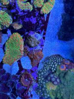 IMG_9386.JPG