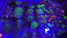 PXL_20240504_135307553.jpg