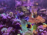 IMG_5163.jpeg IMG_5163.jpeg