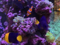 IMG_5158.jpeg IMG_5158.jpeg