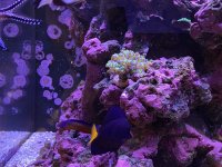 IMG_5156.jpeg IMG_5156.jpeg