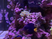 IMG_5155.jpeg IMG_5155.jpeg