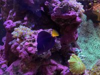 IMG_5154.jpeg IMG_5154.jpeg