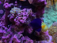 IMG_5146.jpeg IMG_5146.jpeg