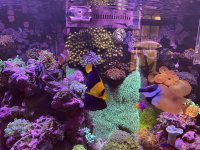 IMG_5162.jpeg IMG_5162.jpeg