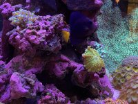 IMG_5153.jpeg IMG_5153.jpeg