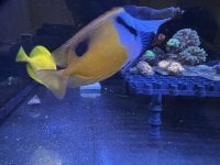 IMG_3837.JPG