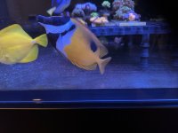 IMG_3838.JPG