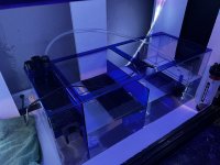 IMG_9171.jpeg