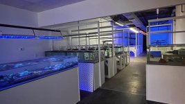 IMG_2605.jpg
