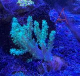 IMG_1856.jpeg