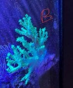 IMG_1857.jpeg