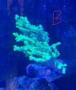 IMG_1859.jpeg