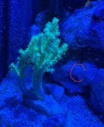 IMG_1858.jpeg