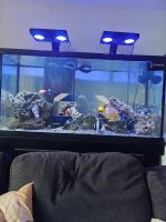 IMG20240519171044.jpg