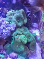 20240520_160144.jpg