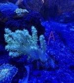 IMG_1879.jpeg